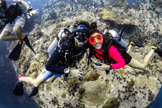 Fun Diving Packages (Certified Divers) - Key points to know before booking