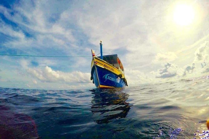 Fun Diving Packages (Certified Divers) - Is $71.71 good value?
