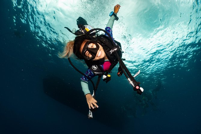 Fun Diving Packages (Certified Divers) - The 1 p.m. afternoon option
