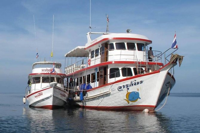 Fun Diving Safari Day Trip From Koh Lanta - Certified Divers - Koh Haa from October through mid-May