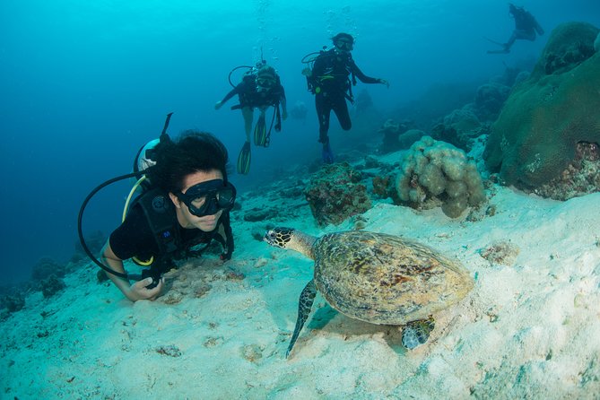 Fun Diving Safari Day Trip From Koh Lanta - Certified Divers - Food, snorkeling, and the parts between sessions