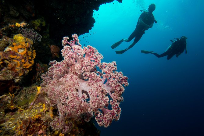 Fun Diving Safari Day Trip From Koh Lanta - Certified Divers - Who will enjoy this trip most