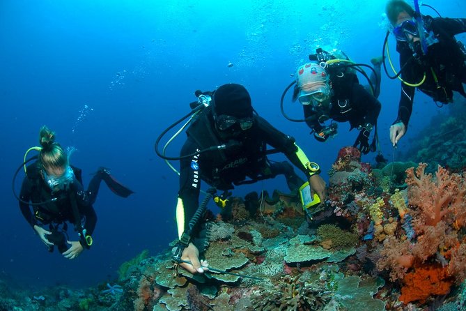 Fun Diving Tulamben Bali - For Certified Divers - Why USAT Liberty is the star of the day