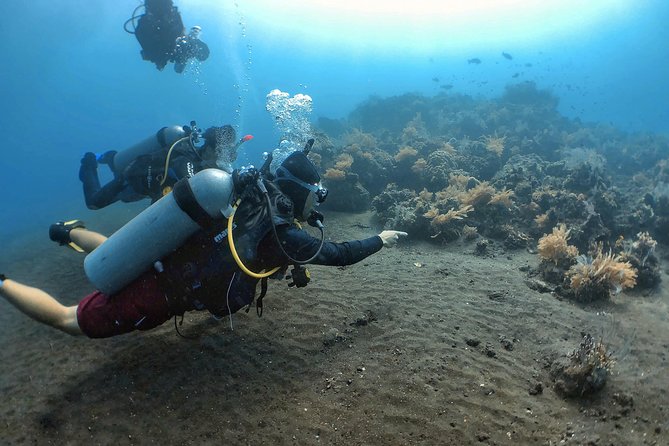 Fun Diving Tulamben Bali - For Certified Divers - The early pickup and long road to Tulamben