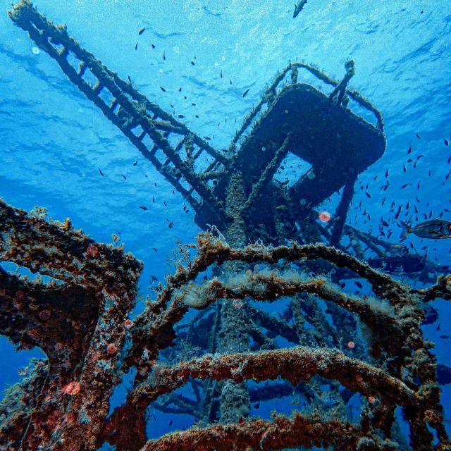 Funchal: Advanced Scuba Diving Afonso Cerqueira Wreck - What makes this wreck trip worth your time