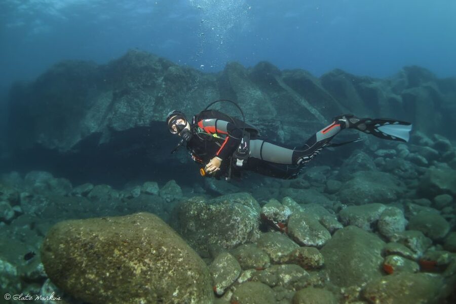 Funchal: Certified Scuba Diving, Guided Tour - A short Atlantic outing with a useful purpose