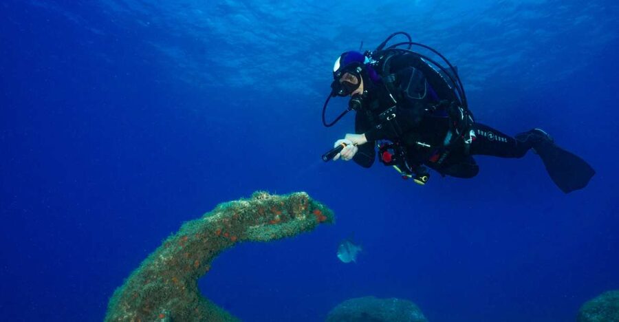 Funchal: Certified Scuba Diving, Guided Tour - One hour in Funchal’s marine protected area