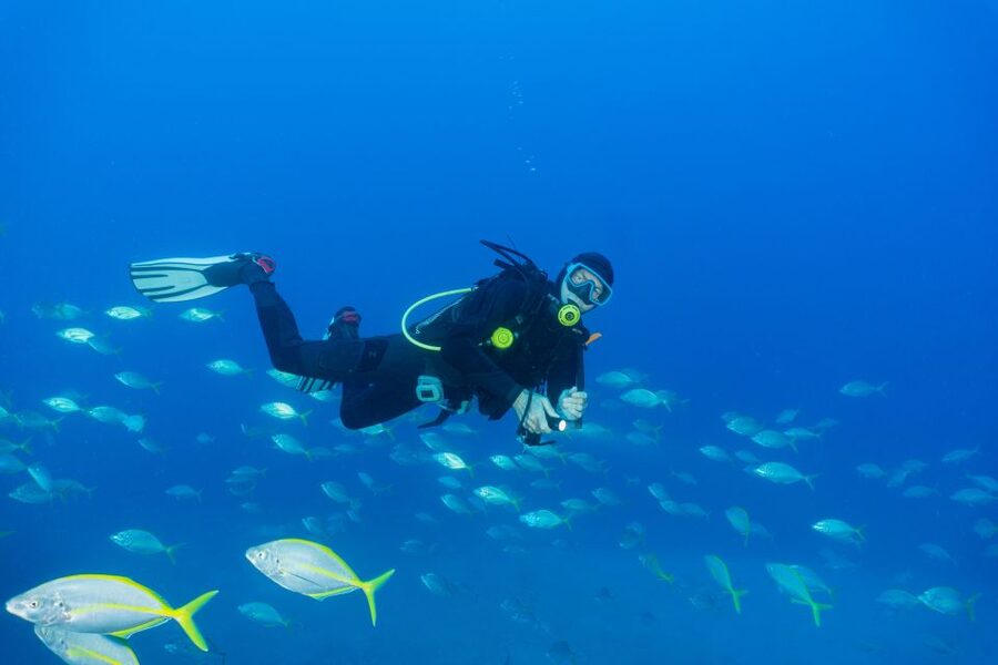 Funchal: Certified Scuba Diving, Guided Tour - What $33 really buys you
