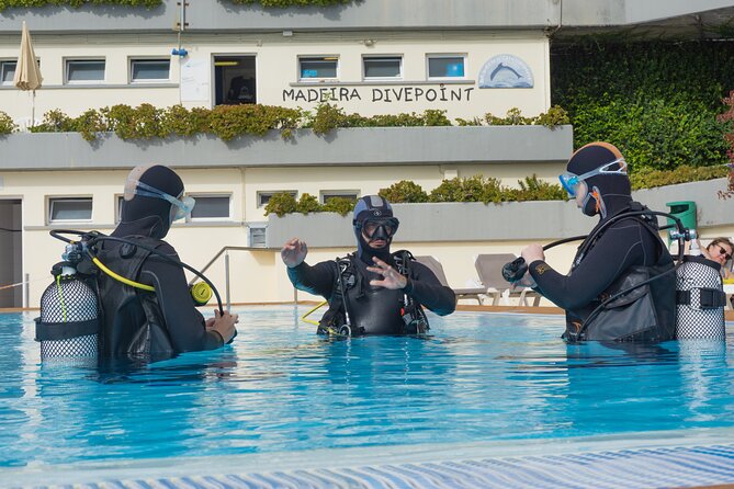Funchal: Scuba Diving Experience for Beginners - Quick facts about the Funchal ocean session