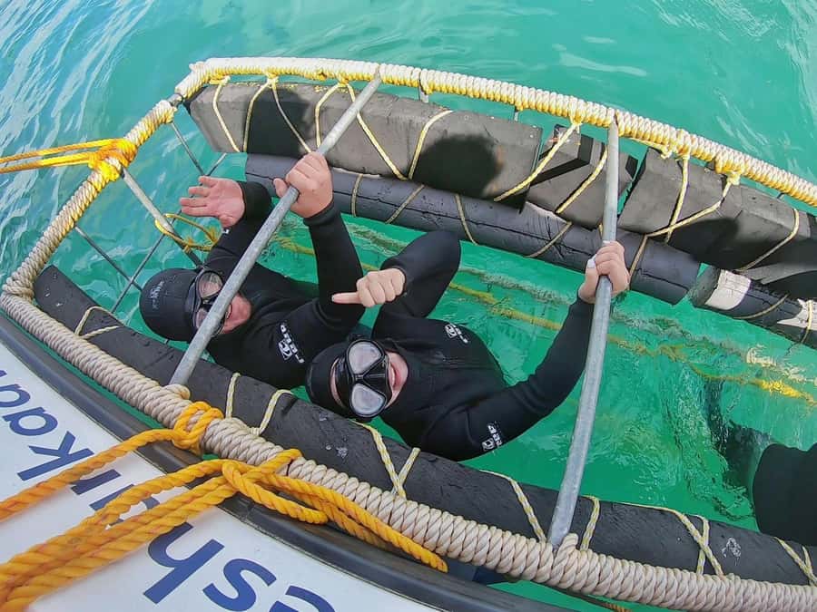 Gansbaai: Shark Cage Diving and Shark Viewing Boat Trip - Why the waters near Dyer Island matter
