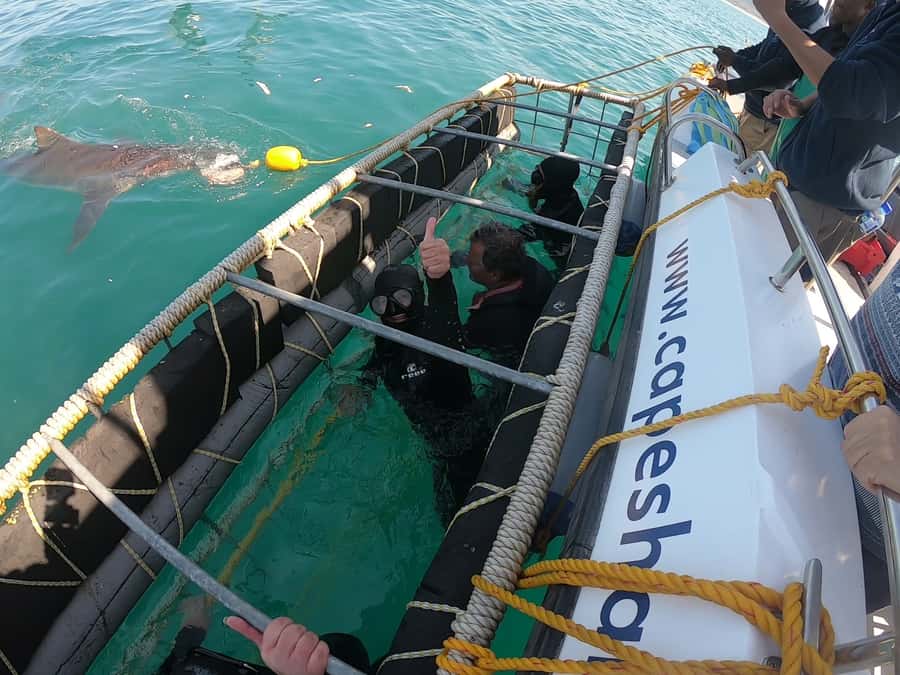 Gansbaai: Shark Cage Diving and Shark Viewing Boat Trip - The three-hour route and what each part adds
