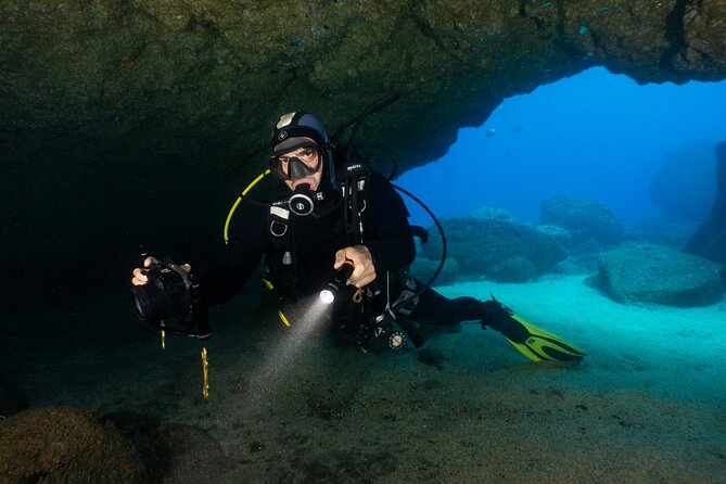 Garajau National Park Dive from Funchal for Certified Divers - Who will enjoy this Madeira scuba session most