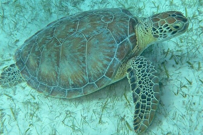 Get SCUBA Certified at San Juan - Facilities, equipment, and the practical details
