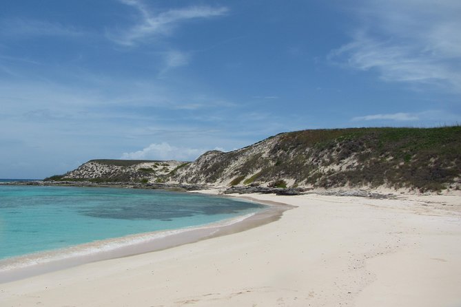 Gibbs Cay Stingray and Conch Dive Adventure - Quick points before you book