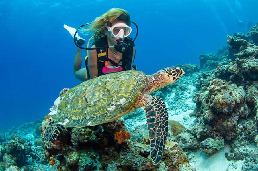 Gili Meno: Discover Scuba Diving for the first time - Key points to know before booking