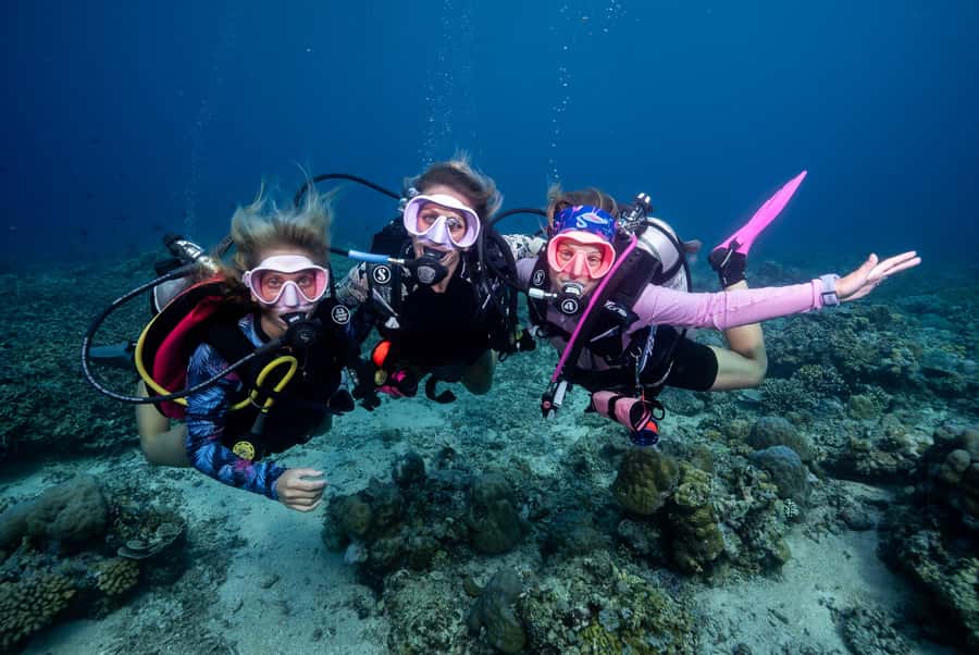 Gili Trawangan : Discovery Scuba Diving - Should you book the Gili Trawangan Discovery Scuba experience?