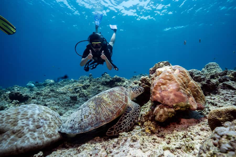 Gili Trawangan : Discovery Scuba Diving - Pool practice gives you a safer first step