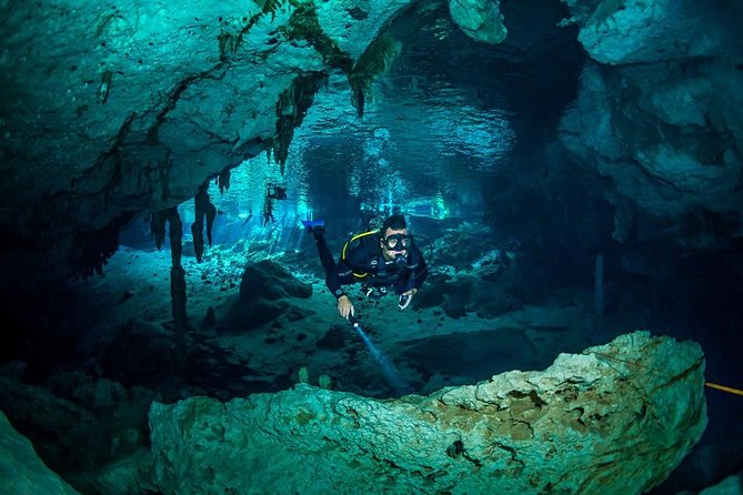 Go for 2 dives in cenote Dos ojos for certified divers - What the underwater setting really feels like