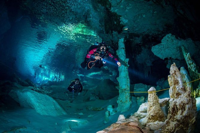 Go for 2 dives in cenote Dos ojos for certified divers - The ride to Dos Ojos and what the price covers