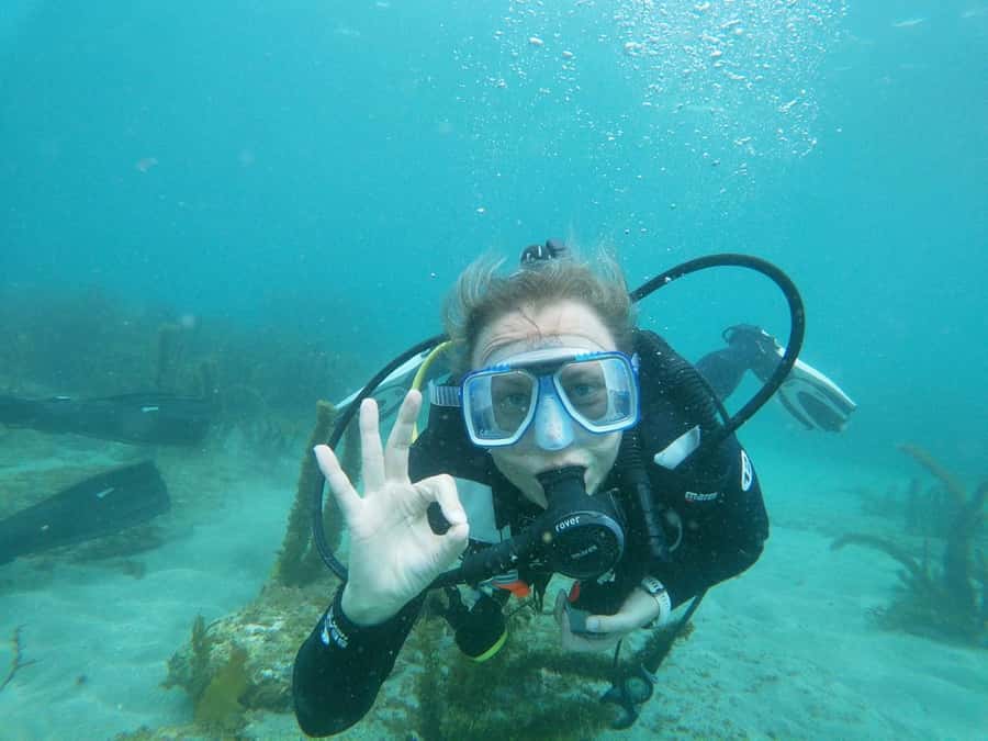 Goat Island Try Scuba Diving Experience - Who will enjoy this four-hour outing?
