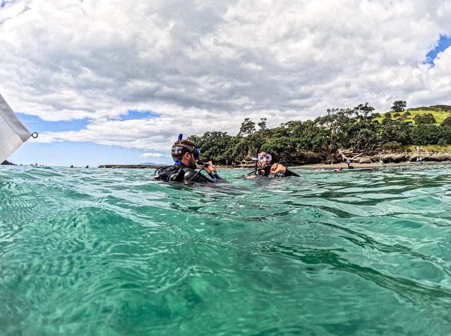 Goat Island Try Scuba Diving Experience - Starting at the Goat Island Dive and Snorkel Centre