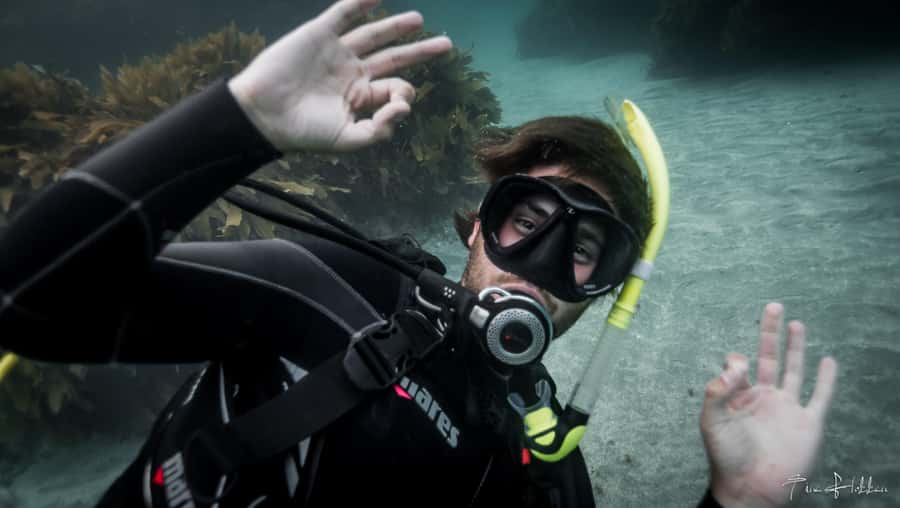 Goat Island Try Scuba Diving Experience - Getting comfortable in shallow water