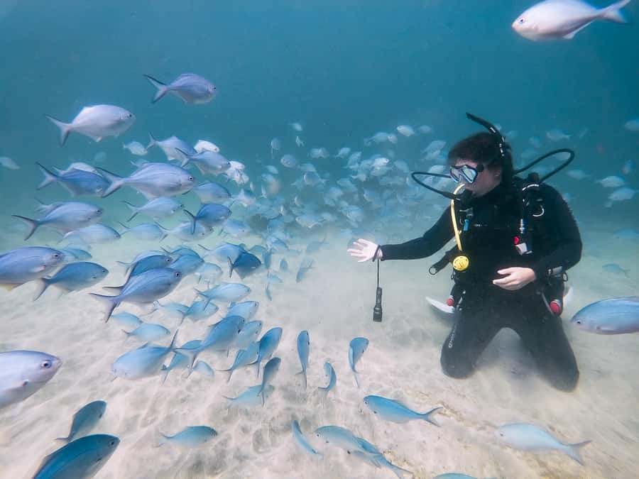 Goat Island Try Scuba Diving Experience - Moving toward Goat Island’s underwater world