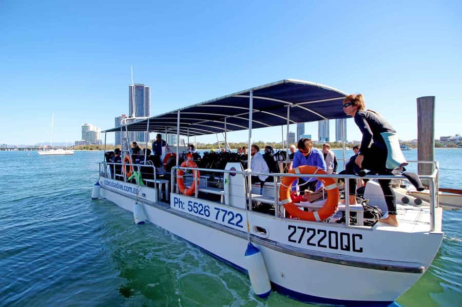 Gold Coast: 3-Day PADI Open Water Course - The instructors: calm teaching is a major plus