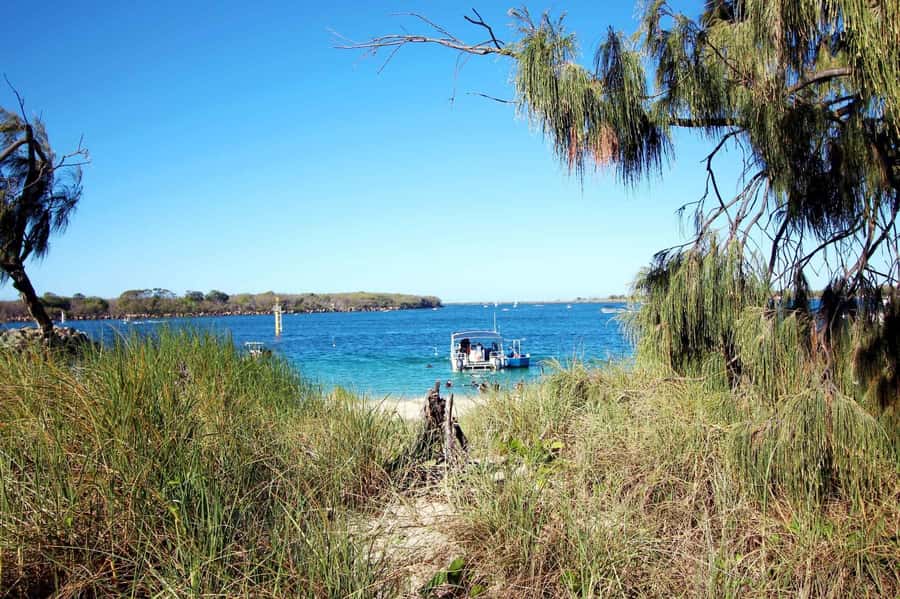 Gold Coast: 3-Day PADI Open Water Course - Practical preparation for the Surfers Paradise meeting point