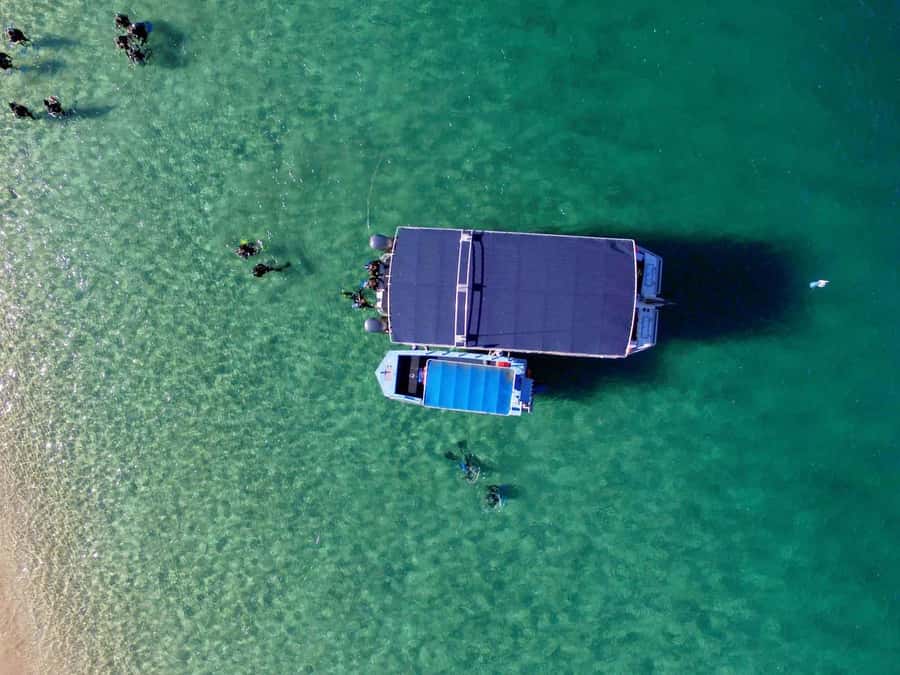 Gold Coast: 3-Day PADI Open Water Course - Day one: building the basics before entering open water