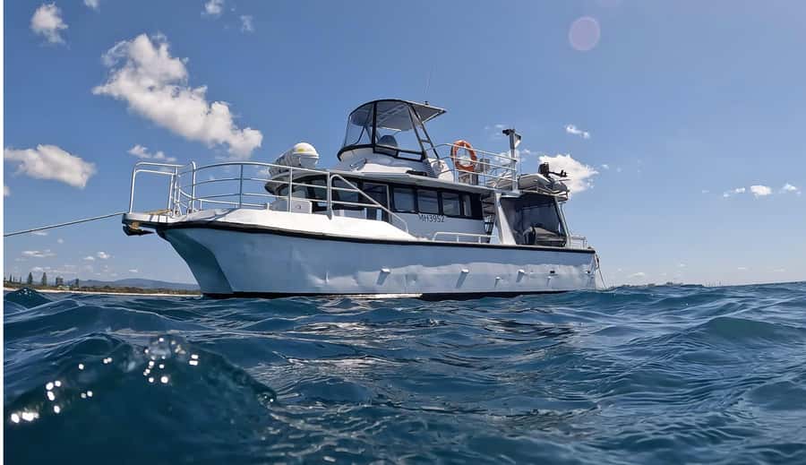 Gold Coast: Cook Island Marine Reserve Scuba Experience Dive - What the underwater section may feel like