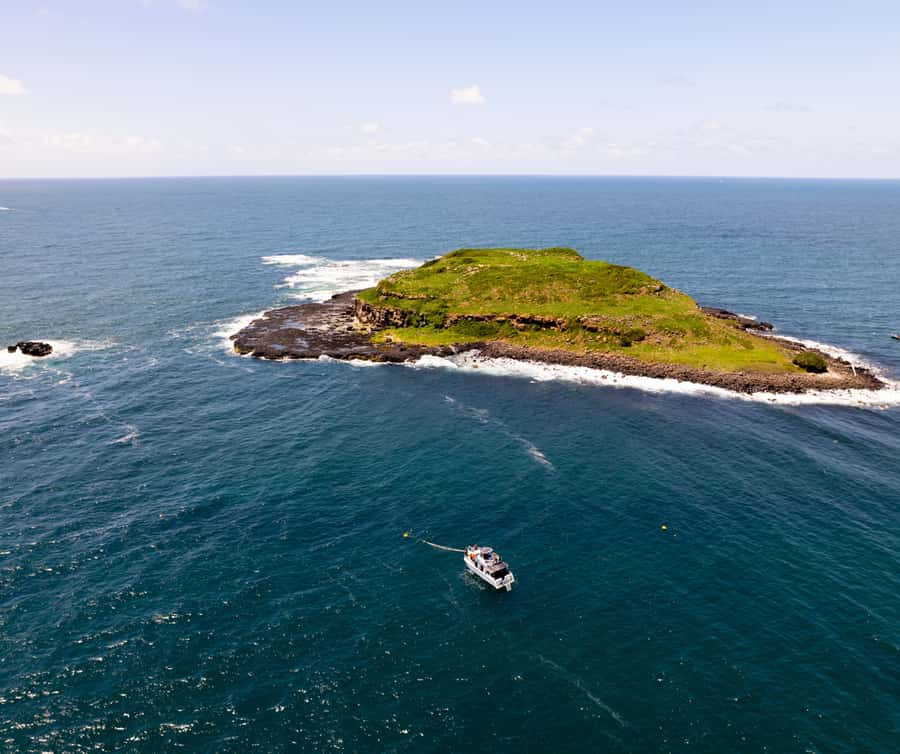 Gold Coast: Cook Island Marine Reserve Scuba Experience Dive - Who will get the most from this $190 outing