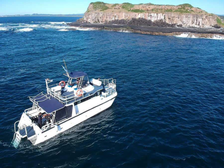 Gold Coast: Cook Island Marine Reserve Scuba Experience Dive - A first scuba session with one instructor per diver