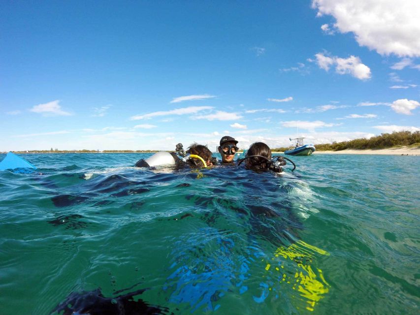 Gold Coast: Introductory SCUBA Diving Experience - My call: book it if you want a supported first try