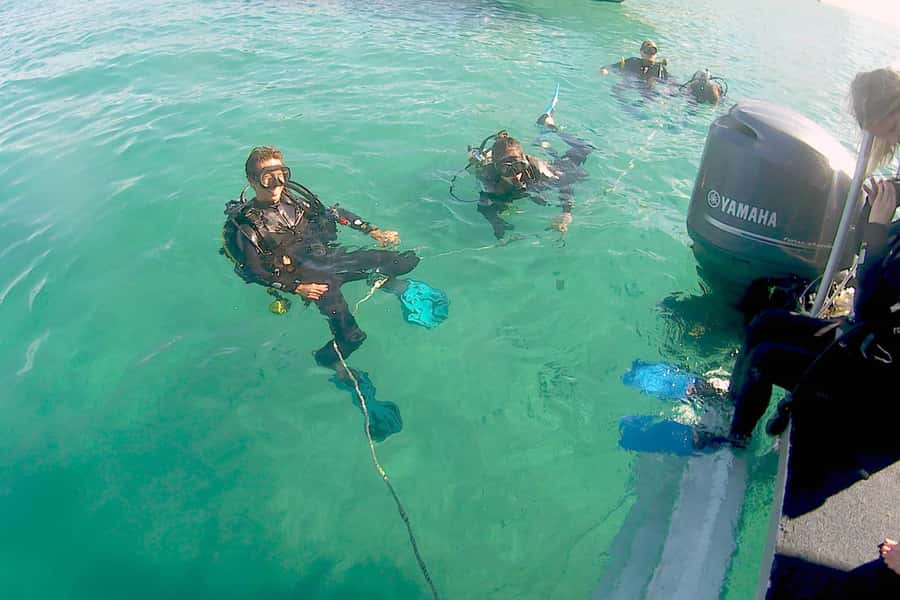 Gold Coast: Introductory SCUBA Diving Experience - A gentle first step into scuba