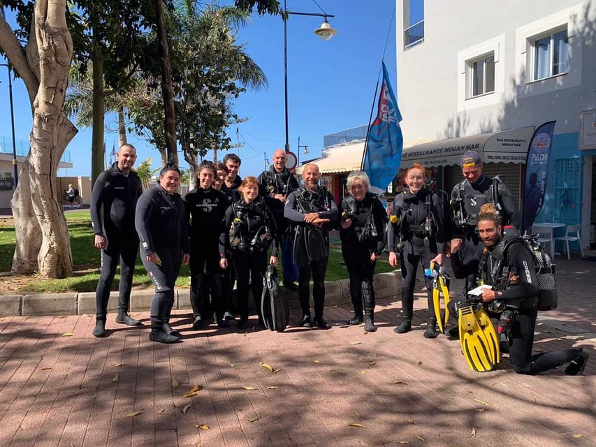 Gran Canaria: Discover Scuba Diving Beginner Program - What you may see below the surface