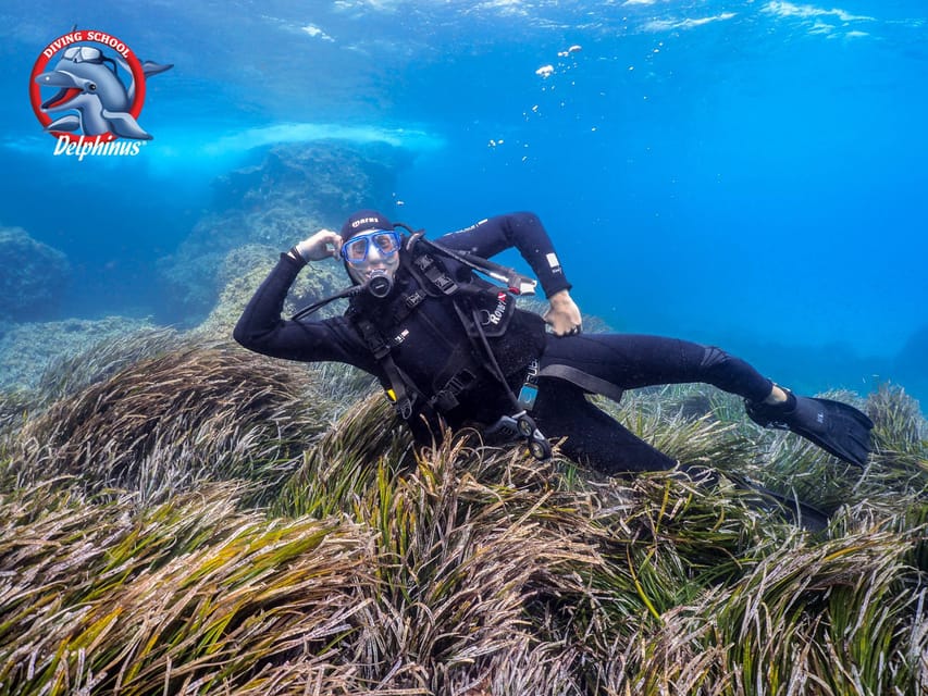 Gran Canaria: Discover Scuba Diving Beginner Program - Learning the equipment without feeling rushed