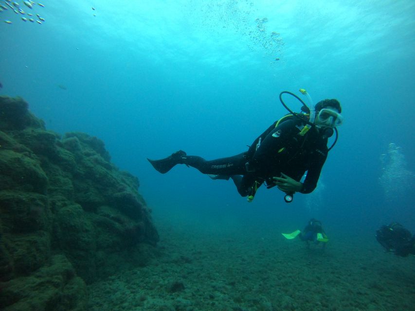Gran Canaria: Discover Scuba Diving - Free Transfers - Who should book this experience
