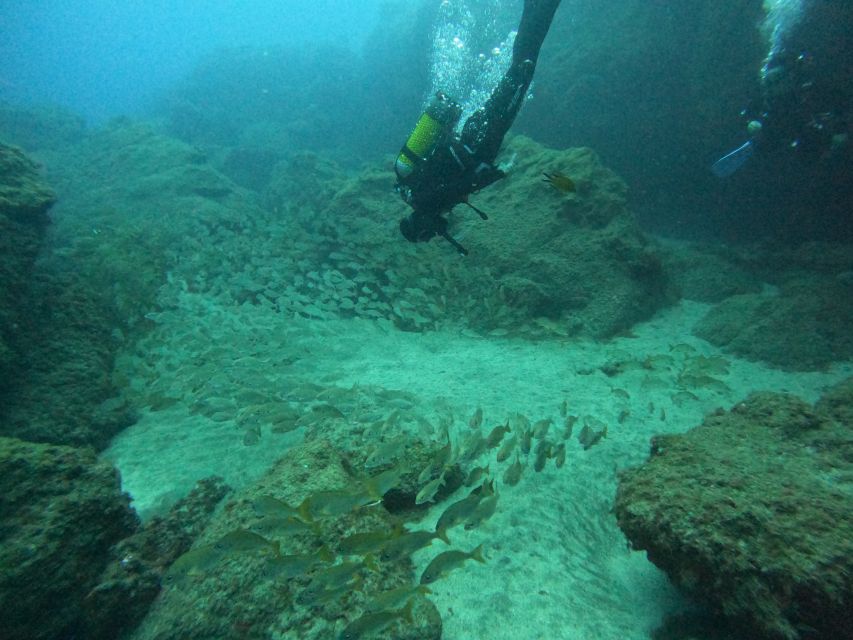 Gran Canaria: Discover Scuba Diving - Free Transfers - Why this is a good first taste of scuba