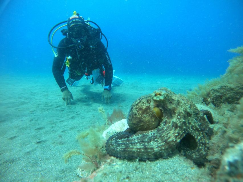 Gran Canaria: Discover Scuba Diving - Free Transfers - The high-season waiting period