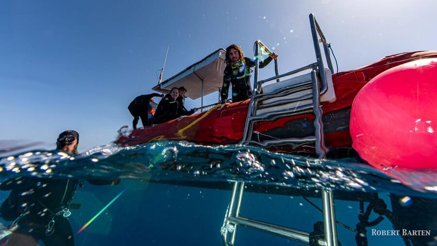 Gran Canaria:Live an Adventure and Learn to Dive with Expert - Who should book this experience?