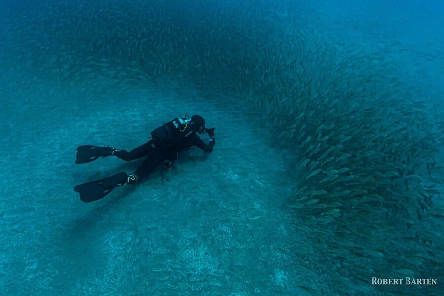 Gran Canaria:Live an Adventure and Learn to Dive with Expert - Booking value, cancellation, and practical planning
