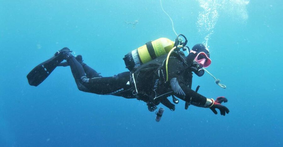 Gran Canaria: Morning Scuba Dive - Risco Verde and the marine life you might see