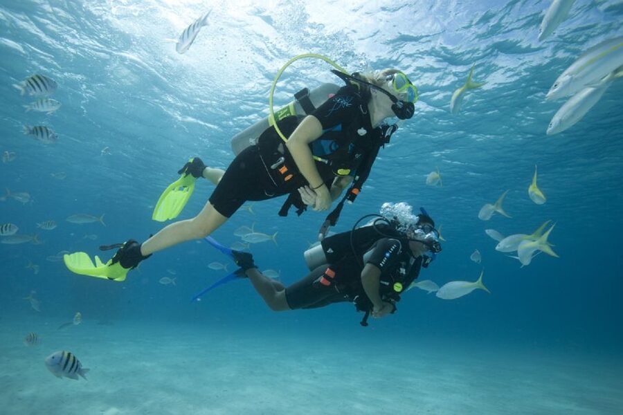 Gran Canaria: Scuba Diving for Beginners - Starting at Puerto Escala harbour in Puerto Rico