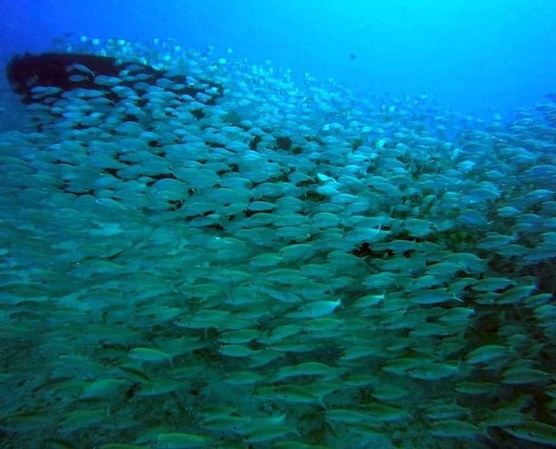 Gran Canaria: Scuba Diving for Beginners - Why the instructors make the biggest difference
