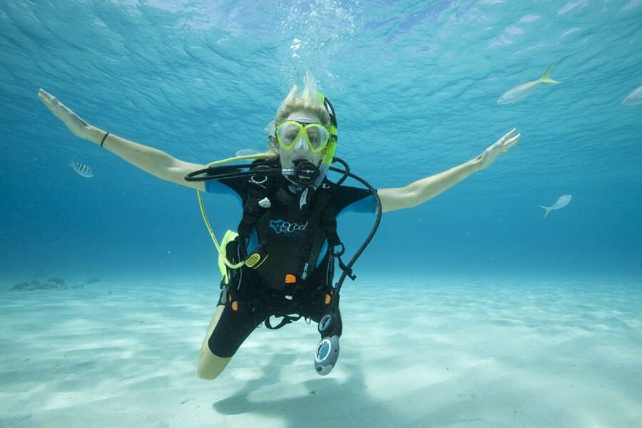 Gran Canaria: Scuba Diving for Beginners - Is this Gran Canaria scuba session worth booking?