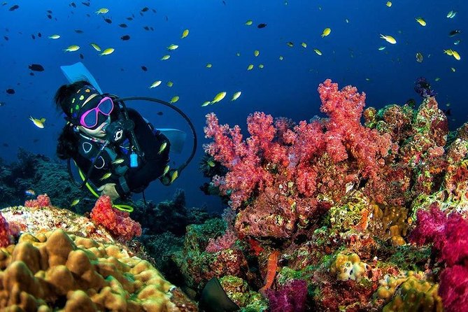 Grand Island Adventure: Diving and Water Sports Thrills - What the $34.47 price really buys