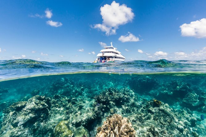 Great Barrier Reef Snorkeling and Diving Cruise from Cairns - What makes this Cairns reef cruise worth considering