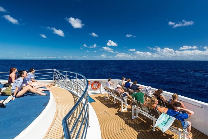 Great Barrier Reef Snorkeling and Diving Cruise from Cairns - Starting at the Reef Fleet Terminal before 8 a.m.