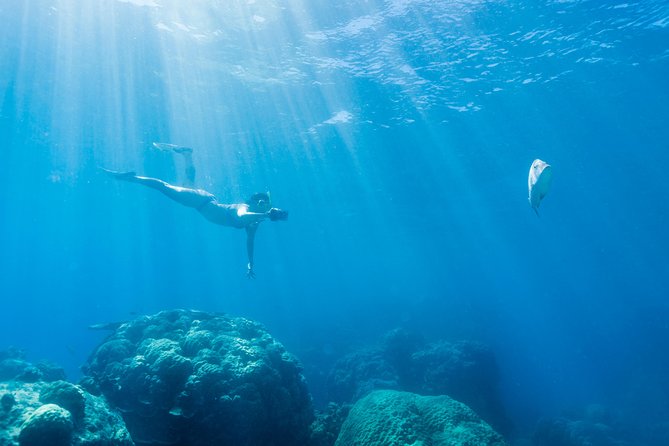 Great Barrier Reef Snorkeling and Diving Cruise from Cairns - Hastings Reef brings a second chance in the water